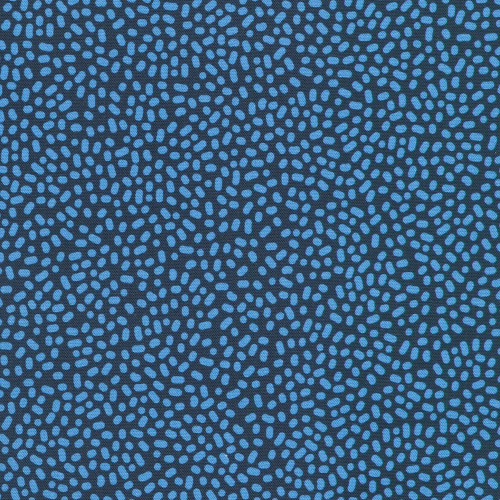 Navy/The Coastal Collection Robert Kaufman