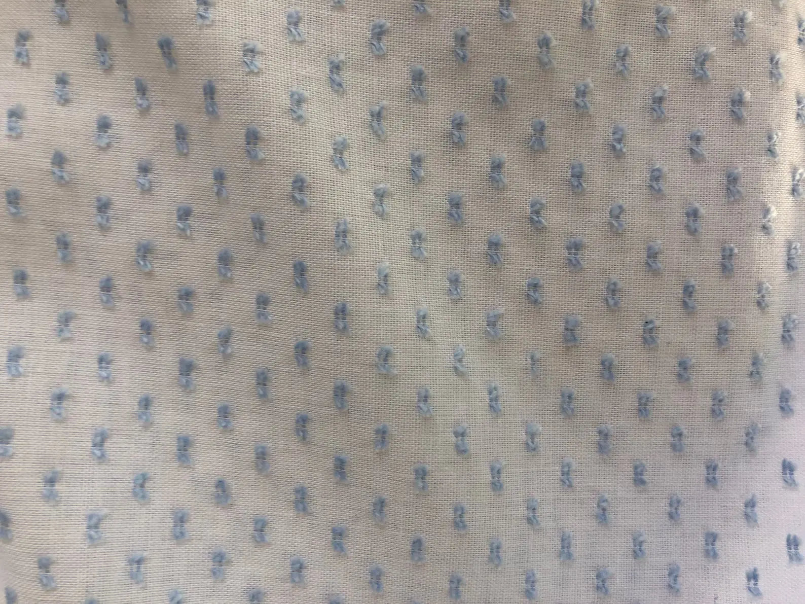 Imperial Dotted Swiss/Baby Blue
