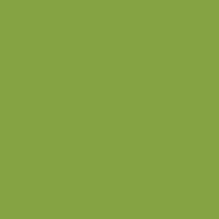 Tula Pink Matcha green solid cotton fabric by FreeSpirit CSFSESS.MATCHA