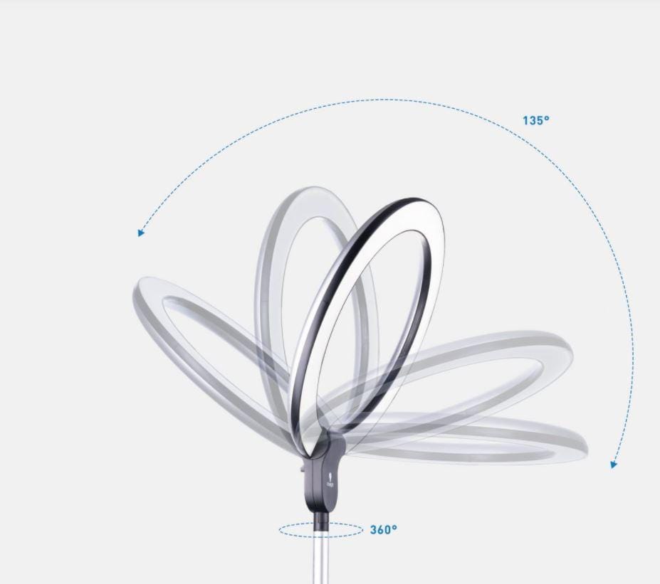 Daylight Daylight - Aura Ring Floor Lamp + FREE SHIPPING